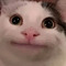 Tymo Miko