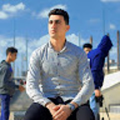 Mahmoud S Badawy