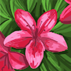 user648250507