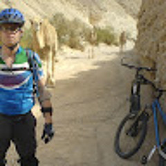 nadav schreibman