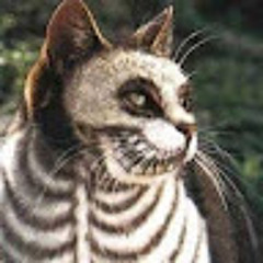 TotenkopfKatzen