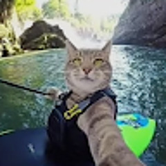 Ярослав Конограй