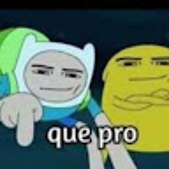 Henrique Pin