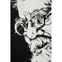 Harshini Jegajeevanram