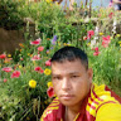 Abinash Ghisng