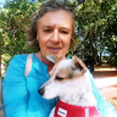 Andrea Feimer
