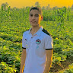 Mohamed Gaber