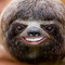 Hey You Guys