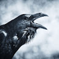 Raven