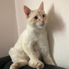 Beraud-sudreau Lucie