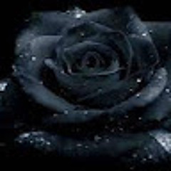 Bạc Cầm Tâm (阮成禄)