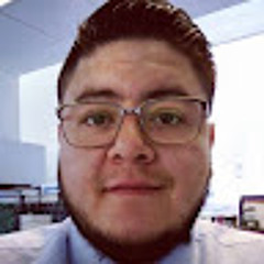 José luis Díaz Flores