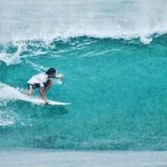 Manu Tahitian