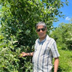 Sheikh Hossain