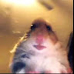 Phoenix_Kk