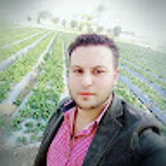 mohamed anwer Sharkh