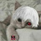 Artem_ 075
