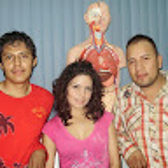 arac gamboa