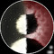 Mody