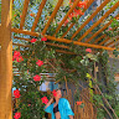 Maria Talícia Mouta Lima