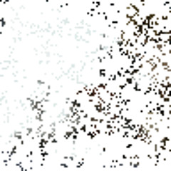 Kitto