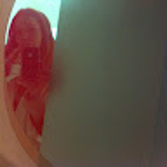 Carmen Alía G. Ruiz