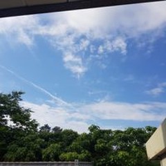 임동춘