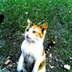 Назар Колтонюк