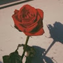 Emilkaa 33