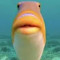 Fish Gaming