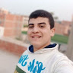 Moatasem Mohamed