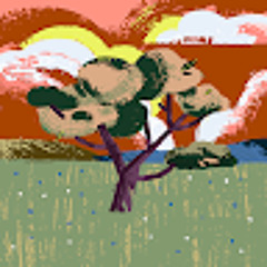 محمد المالكي