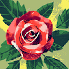 User 593706140