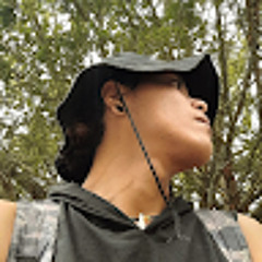 Fonseca UnU