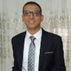 mena wageh