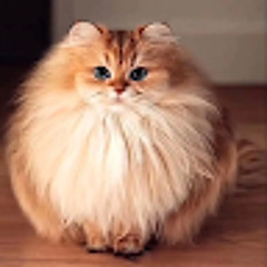 Антон Оребургский