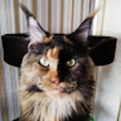 Александр Хад