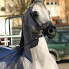 angel remigio unsihuay