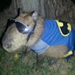 Lucas Da Silva Oliveira