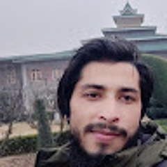 Irfan Mir