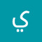 يوسف عمرو