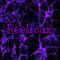 Reel Max