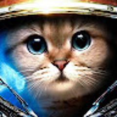 Арсен Парфенюк (MeowCat)