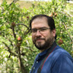 Mehdi Halvaei