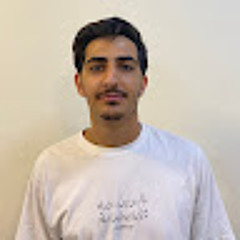 Parsa Ahani