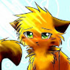 Dom_1_k