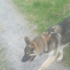 Keithpatrickholohan1