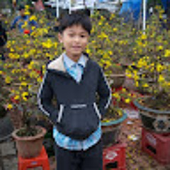 Thiên Nghệ Vlogs