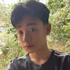 Bac Tran
