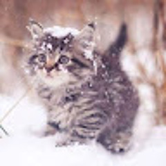real_fluff